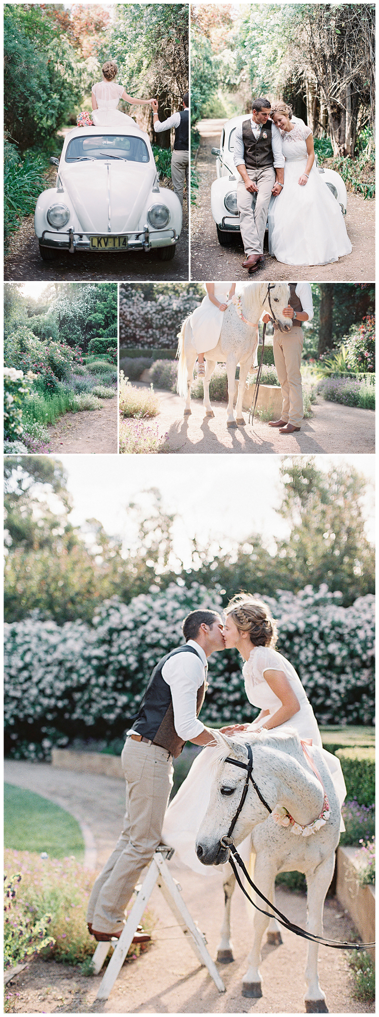 Blog-Collage-1357384270361