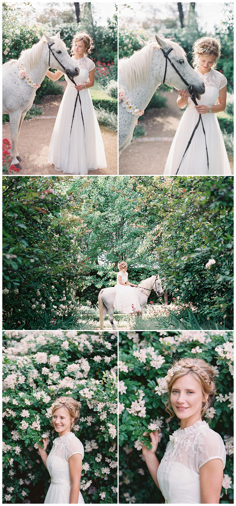 Blog-Collage-1357384345585