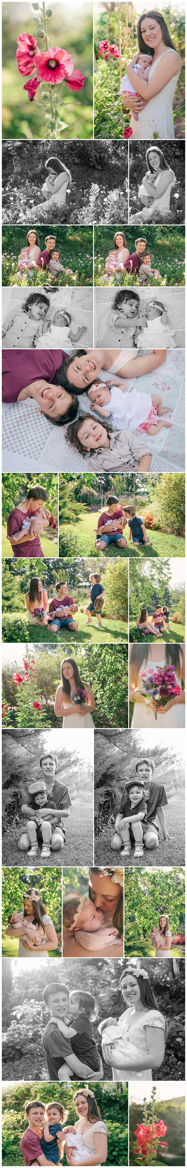 Blog Collage-1387853253521